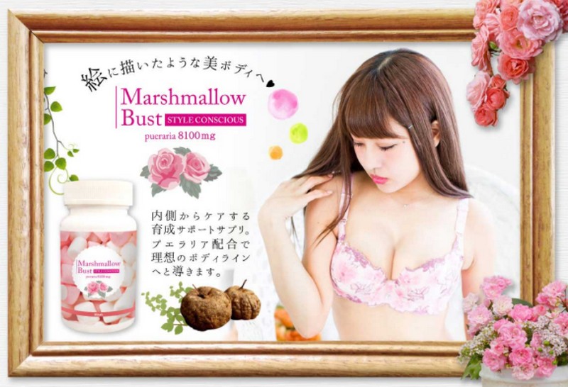 MarshmallowbustłӂӂoXgɕϐgTCg